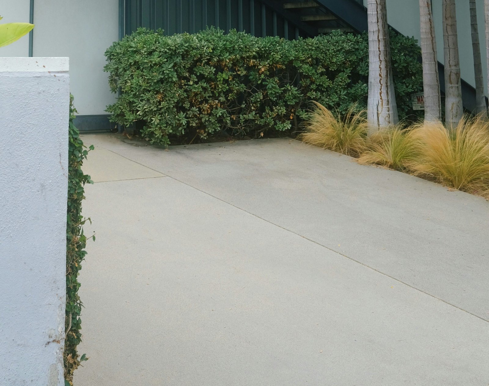 Concrete Driveway